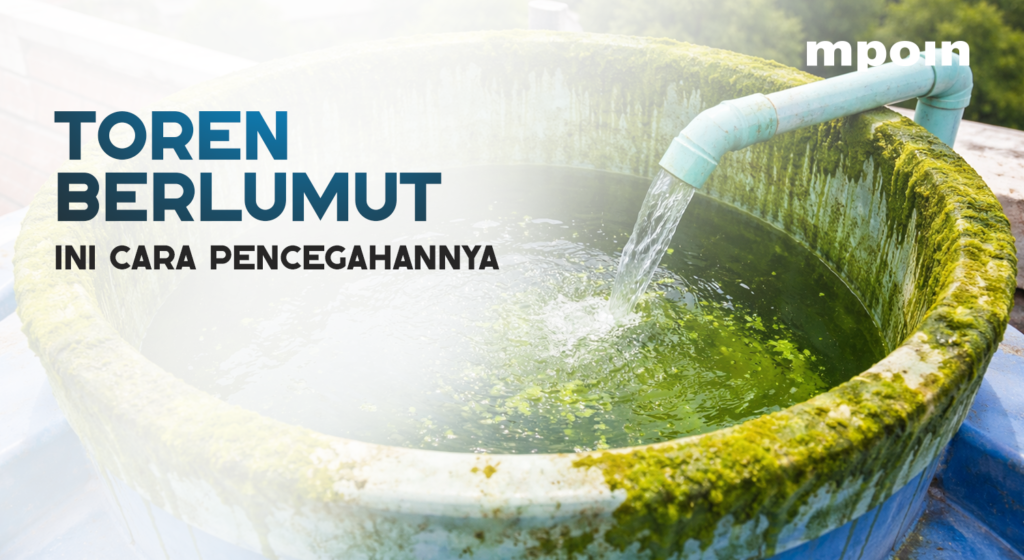 Toren Berlumut? Ini Cara Mencegahnya dari Awal - MPOIN