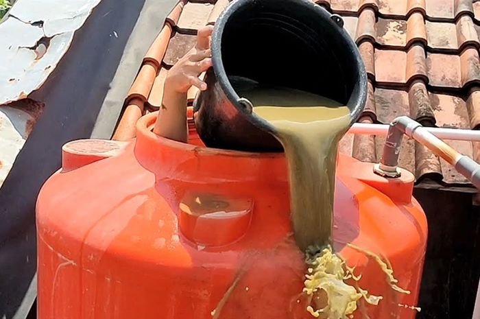 Toren Berlumut? Ini Cara Mencegahnya dari Awal - MPOIN