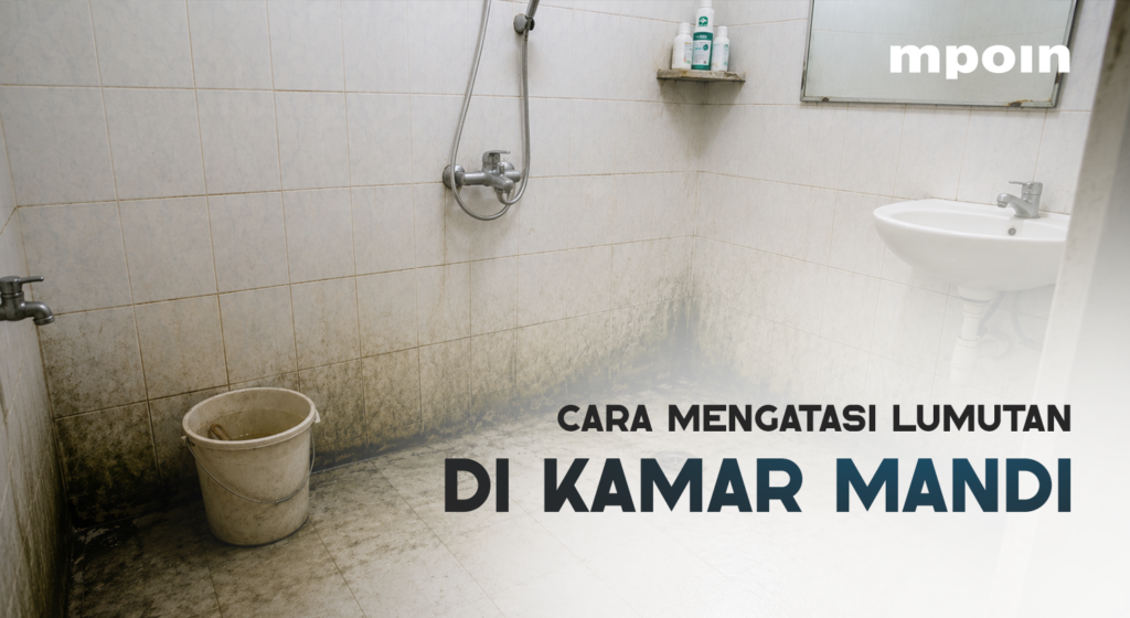 Kamar Mandi Cepat Lumutan? Ini Penyebab dan Cara Mengatasinya