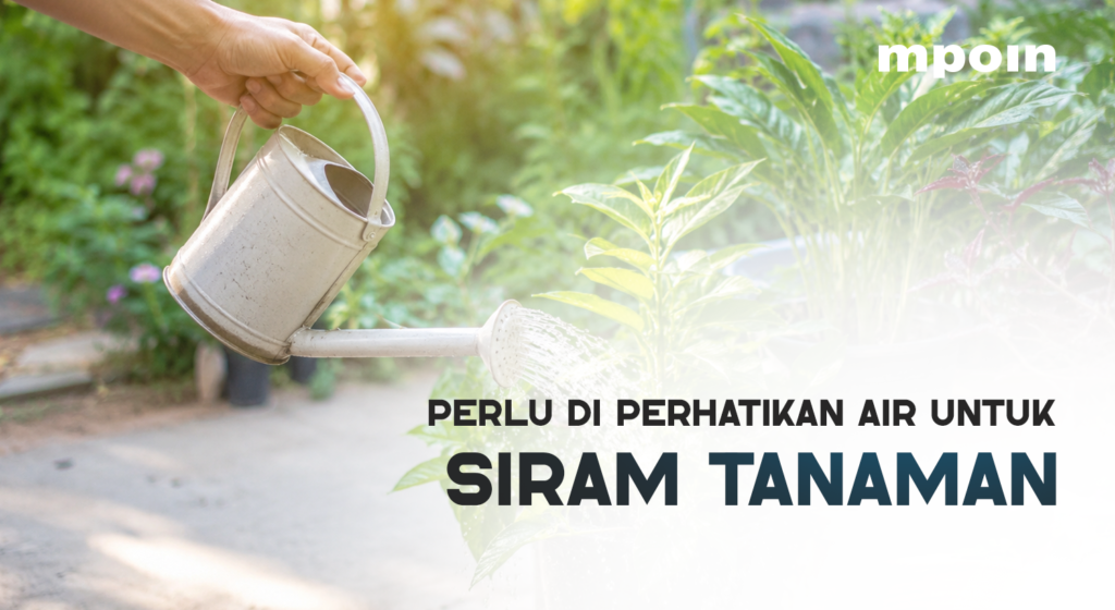 Air untuk Siram Tanaman Tidak Bisa Asal Pakai
