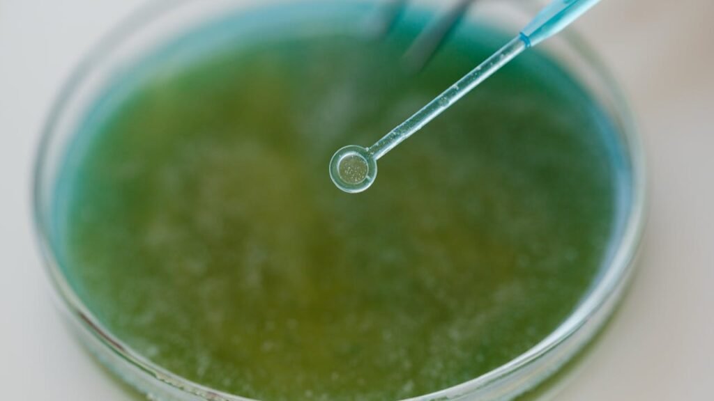 Lendir Bisa Terbentuk dari Lapisan Biofilm