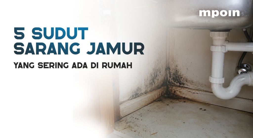 5 Sudut Rumah Lembap yang Sering Jadi Sarang Jamur