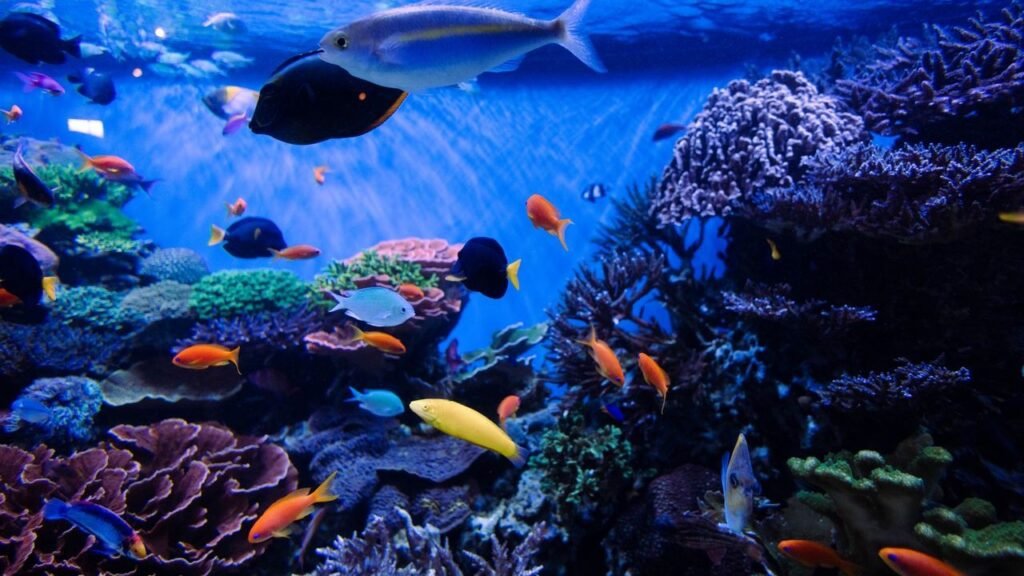 Kualitas Air untuk Aquascape Tidak Sama dengan Air Biasa