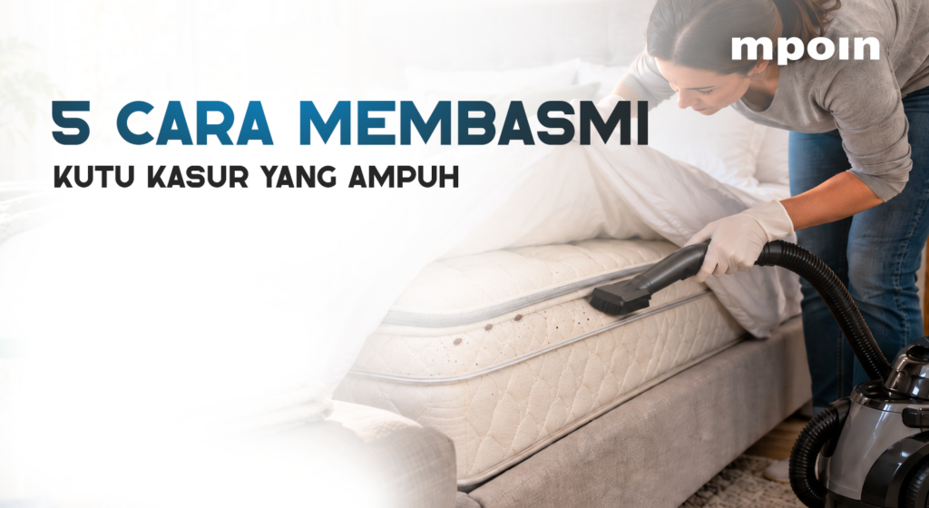 ARTIKEL.ID - 5 Cara Membasmi Kutu Kasur yang Ampuh