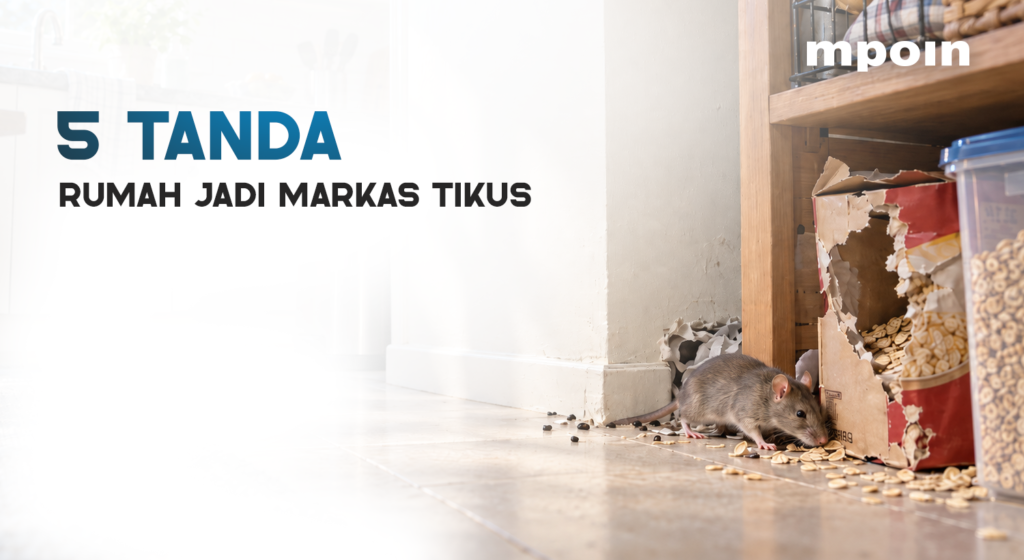 ARTIKEL.ID - 5 Tanda Rumah Sudah Jadi Markas Tikus